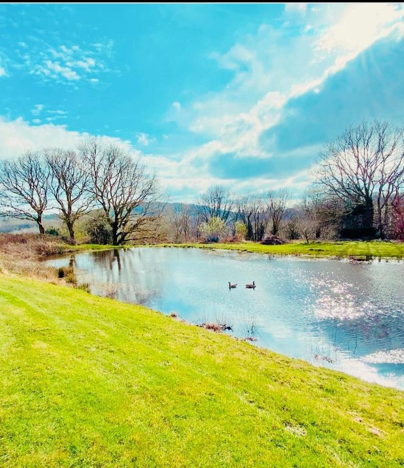 The Farmhouse Swansea Luaran gambar